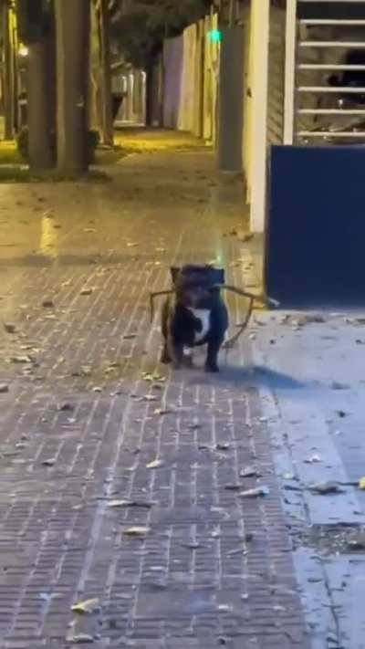 Real Slick Walk