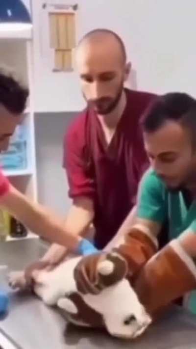 they got him