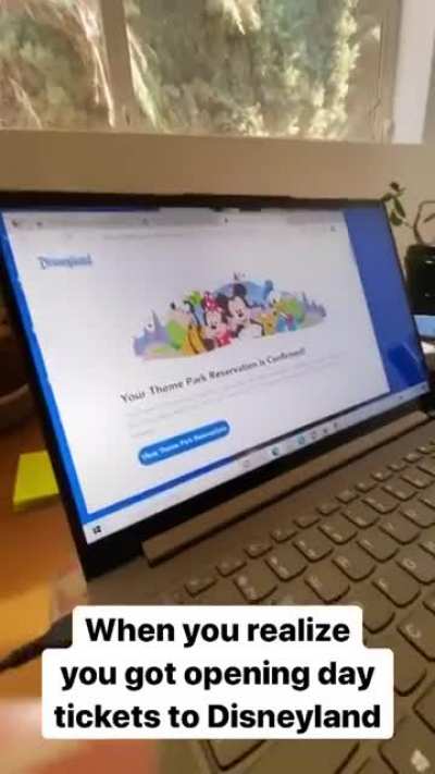 I’m a big fan of the Disney parks, but holy shit…..
