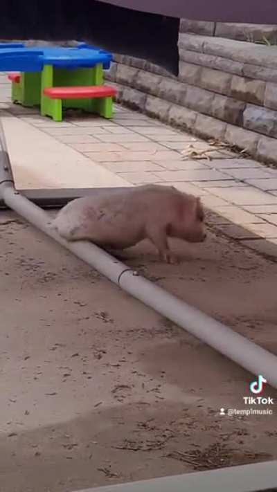 What's that under there?