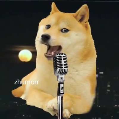 Kendi çapimda böylw videolar yapiyorum sonra insta meme sayfamda paylaşiom nicki deiştirdim abiler zeusshumor adi kendim yaptim yani