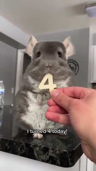 Happy birthday!