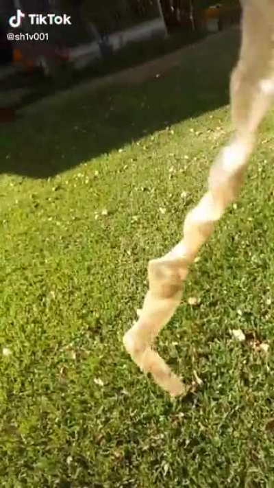 Giant condom