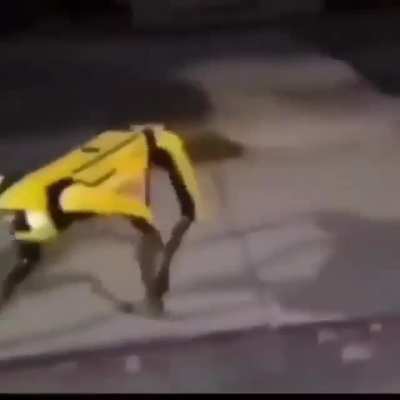 Simpático el robotito