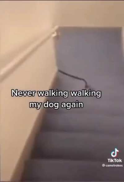 arf