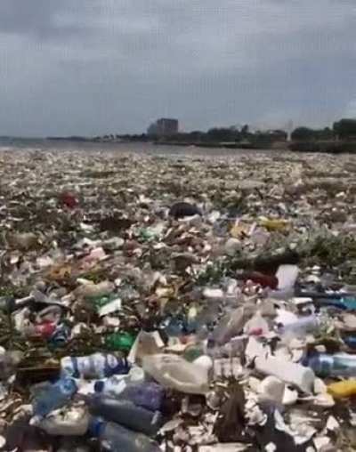 All this trash at the beach