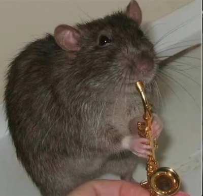 He's very talented