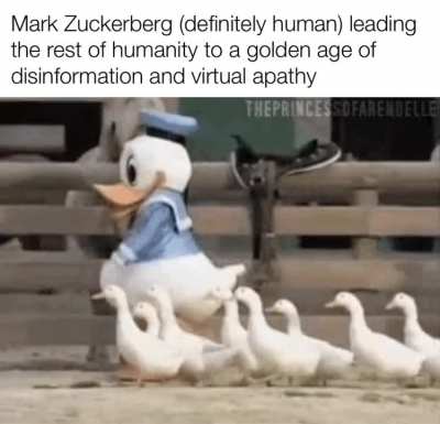 Invest in Meta