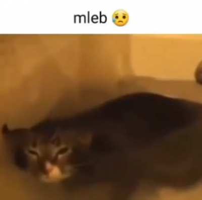 😢