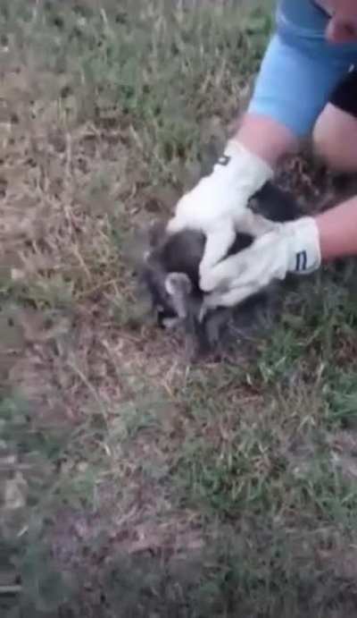 There ya go little guy