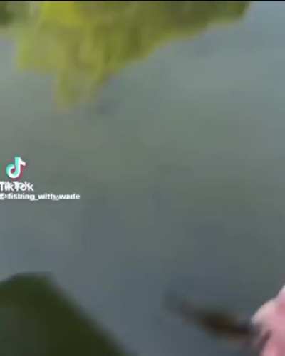 nice safe release