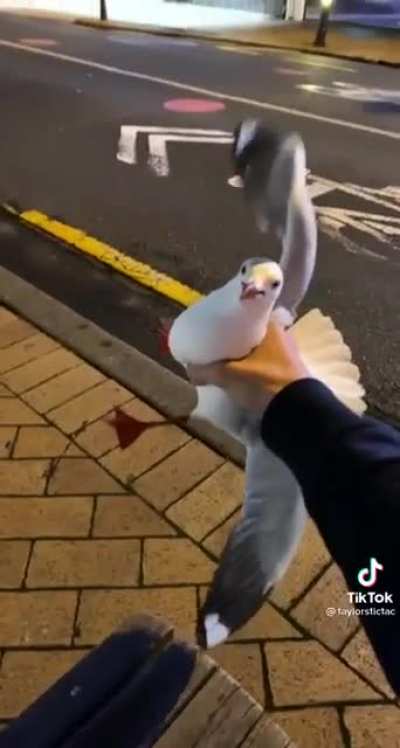 Maybe Maybe Maybe