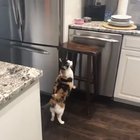 Maybe maybe maybe maybe