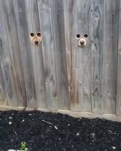 Glory holes