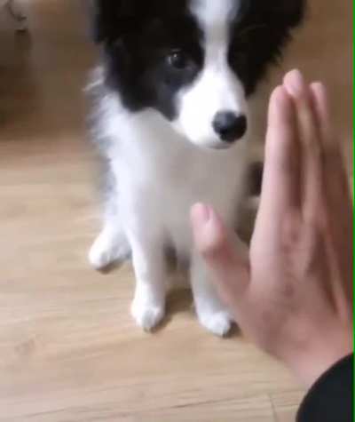 He tried his best