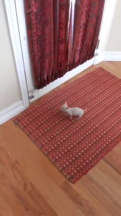 a escadinha
