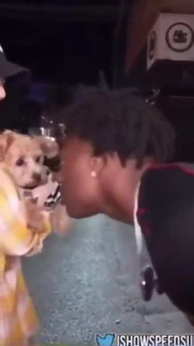Dogs need personal space too