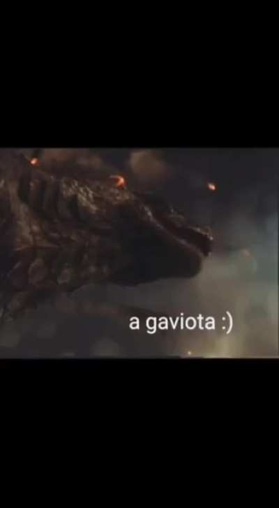 titulo é do time lagartixa