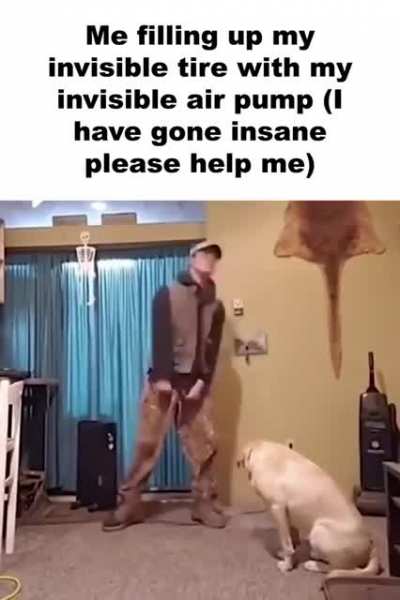 Pls help