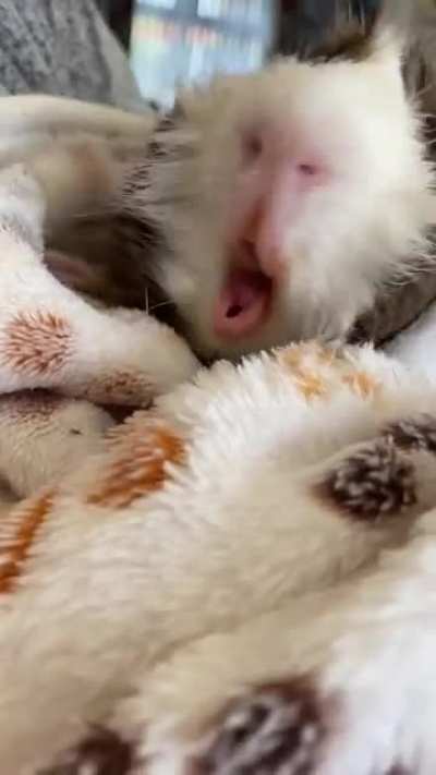 NomNomNom!
