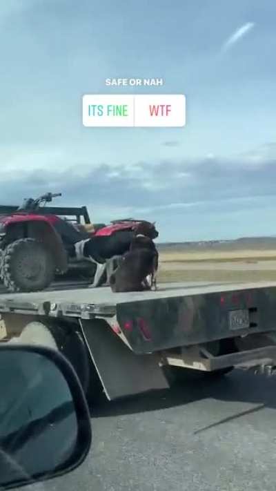 Safe or Nah?