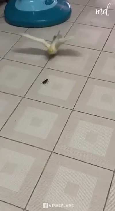 The best bodyguard