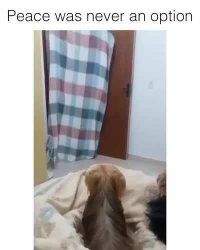 ААААА<wbr>ААА!!<wbr>!!!!