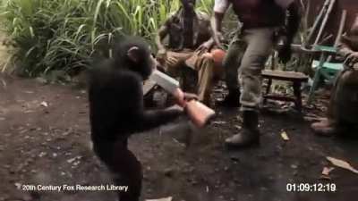 Her şey bu olaydan sonra başladı.... Shempanze be come Human.