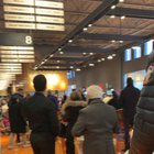 Loblaw’s, Christie & Dupont, 4:30pm