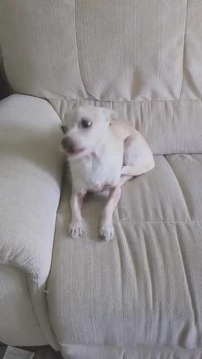 Tim 