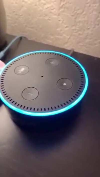 Dude flirting with Alexa