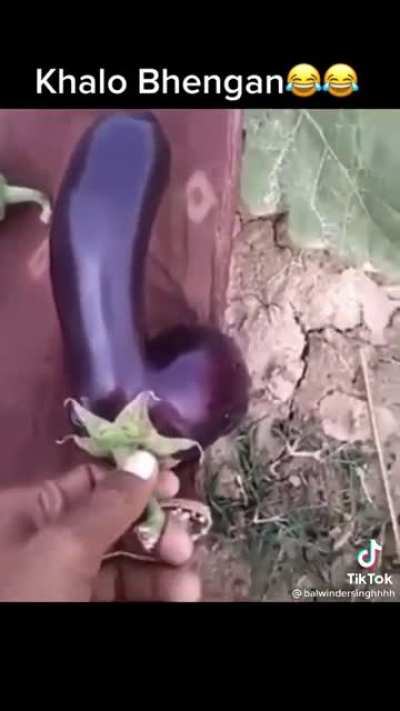Eggplant