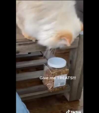 Touch Tha Human