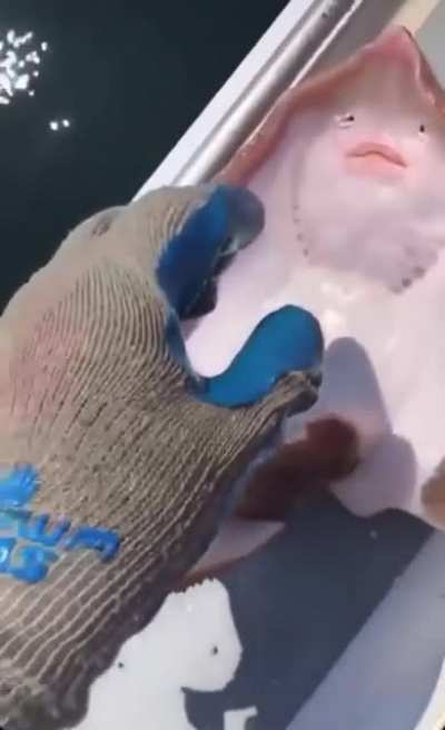 This really creepy fish