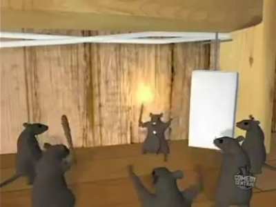 The safest way to exterminate rats problems.