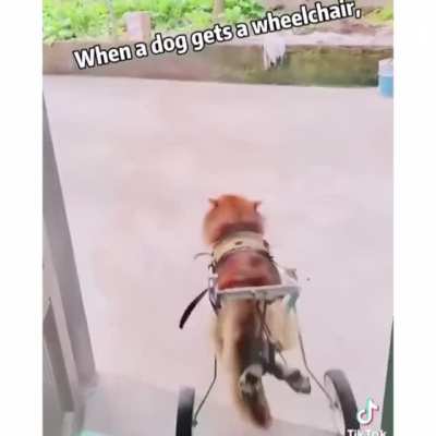 Doge army where you at? Doge needs us right now. Just Hodl!