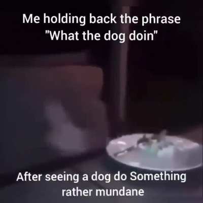 rule