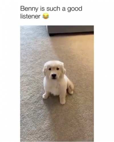 Such a cute listener