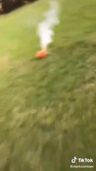 JOEY RUN
