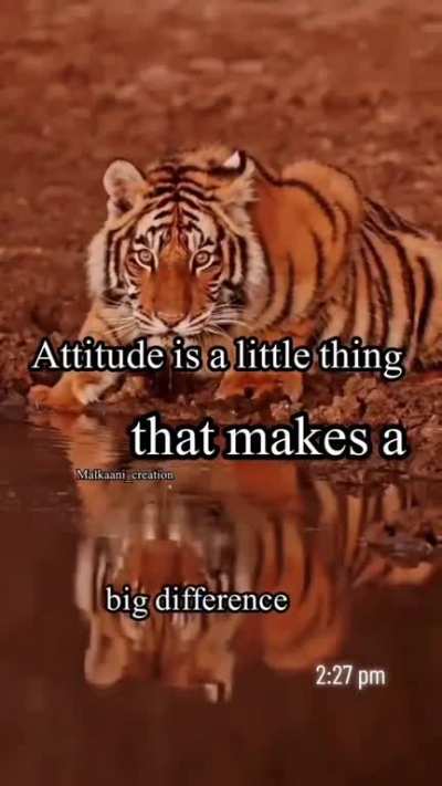 Attitude level