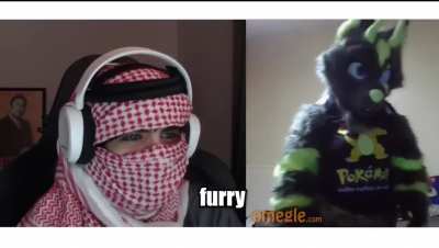 Furry🇬🇧irl