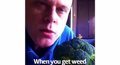 When you get weed