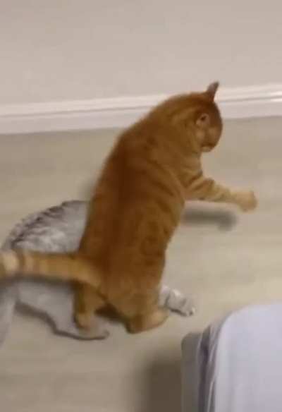 Attack!