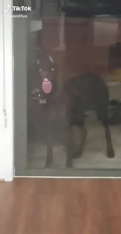 Just helping clean the door
