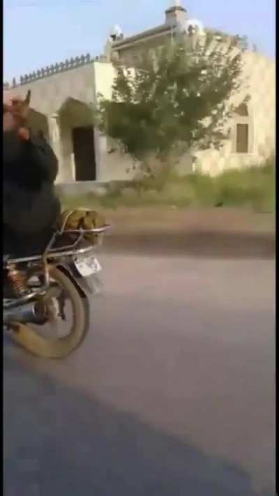 Alladin sold his rug and bought a motorcycle