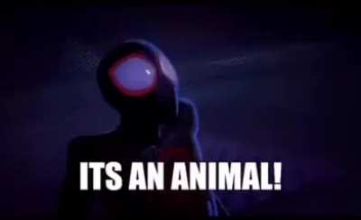There's no laws against the Pokemon Spiderman 