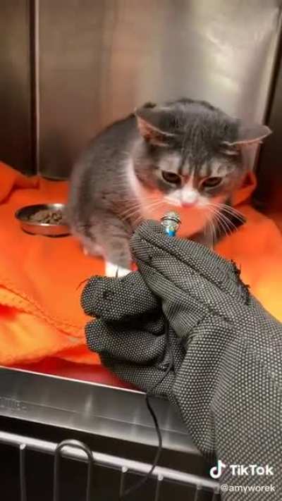 Not a happy camper.