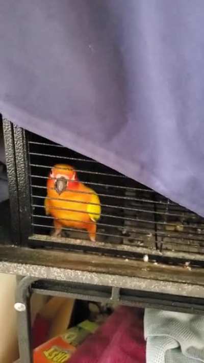 He didn't want nap time so he decided to be weird