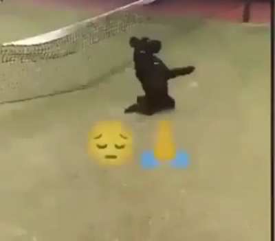 🙏