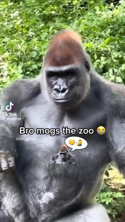 Losercity Wildlife 